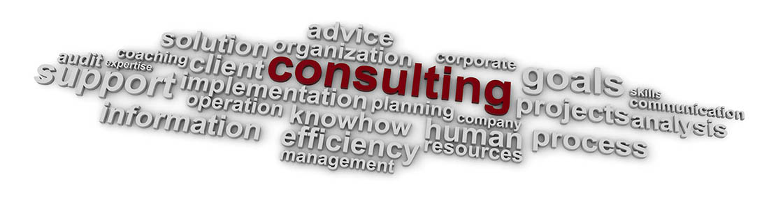 consulting text